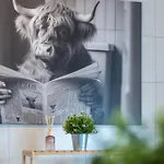 Nexstay Design Mit Loggia Und Parkplatz Daire